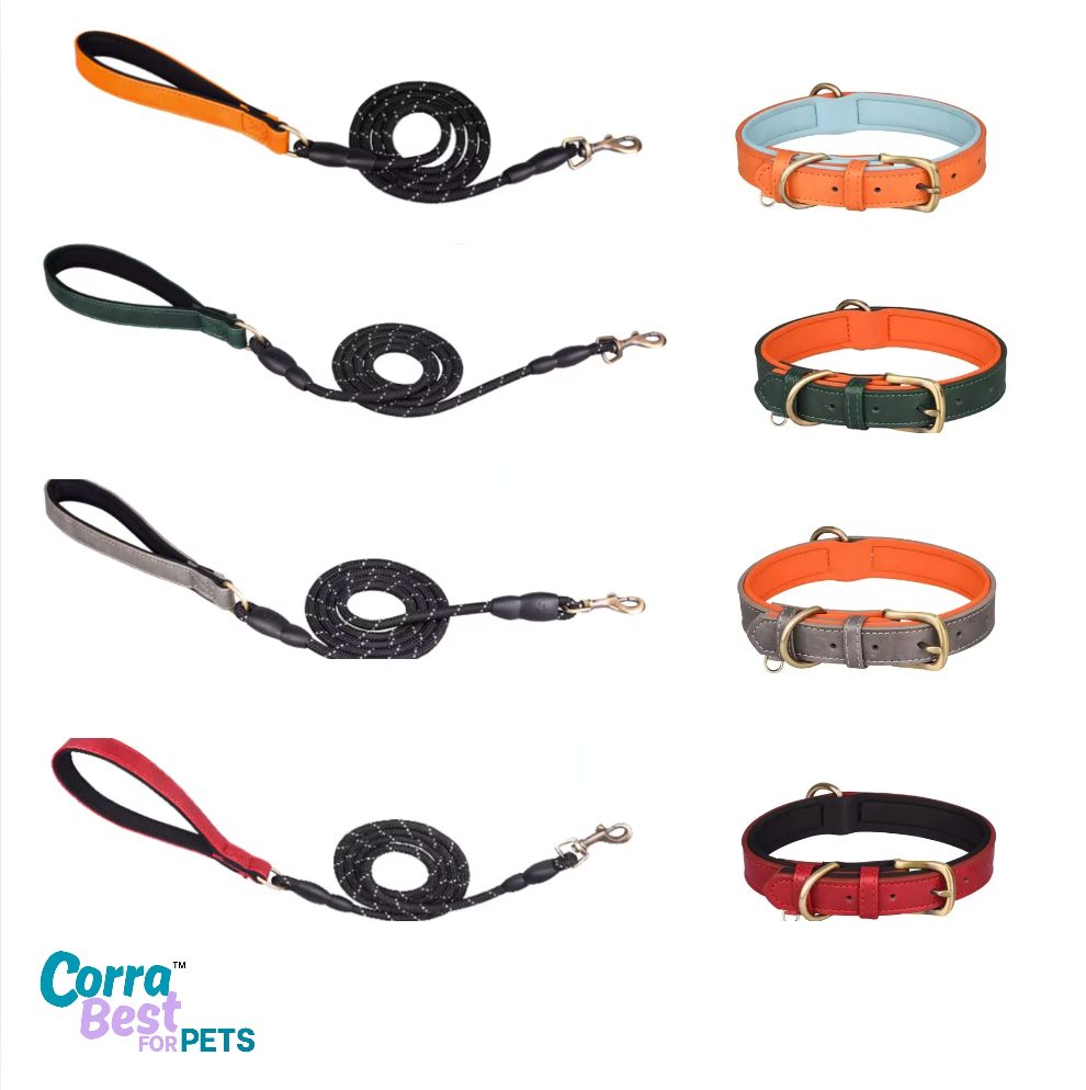 Dog leashes and collars in various colors with 'Corra Best for Pets' branding.