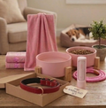 Pet care products including pink bowls, a leash, and a collar on a wooden table with a dog in the background.