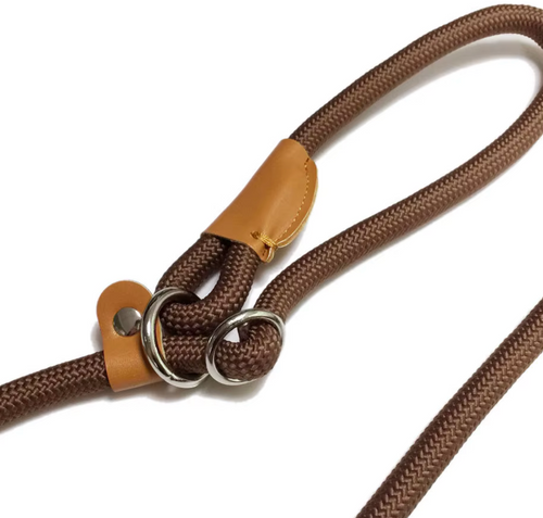 Dog Slip Rope Leash