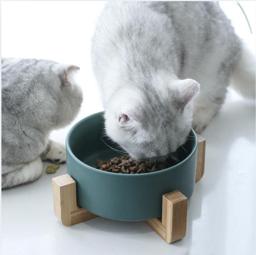 Two cats eating from a blue ceramic bowl with wooden legs on a white surface.