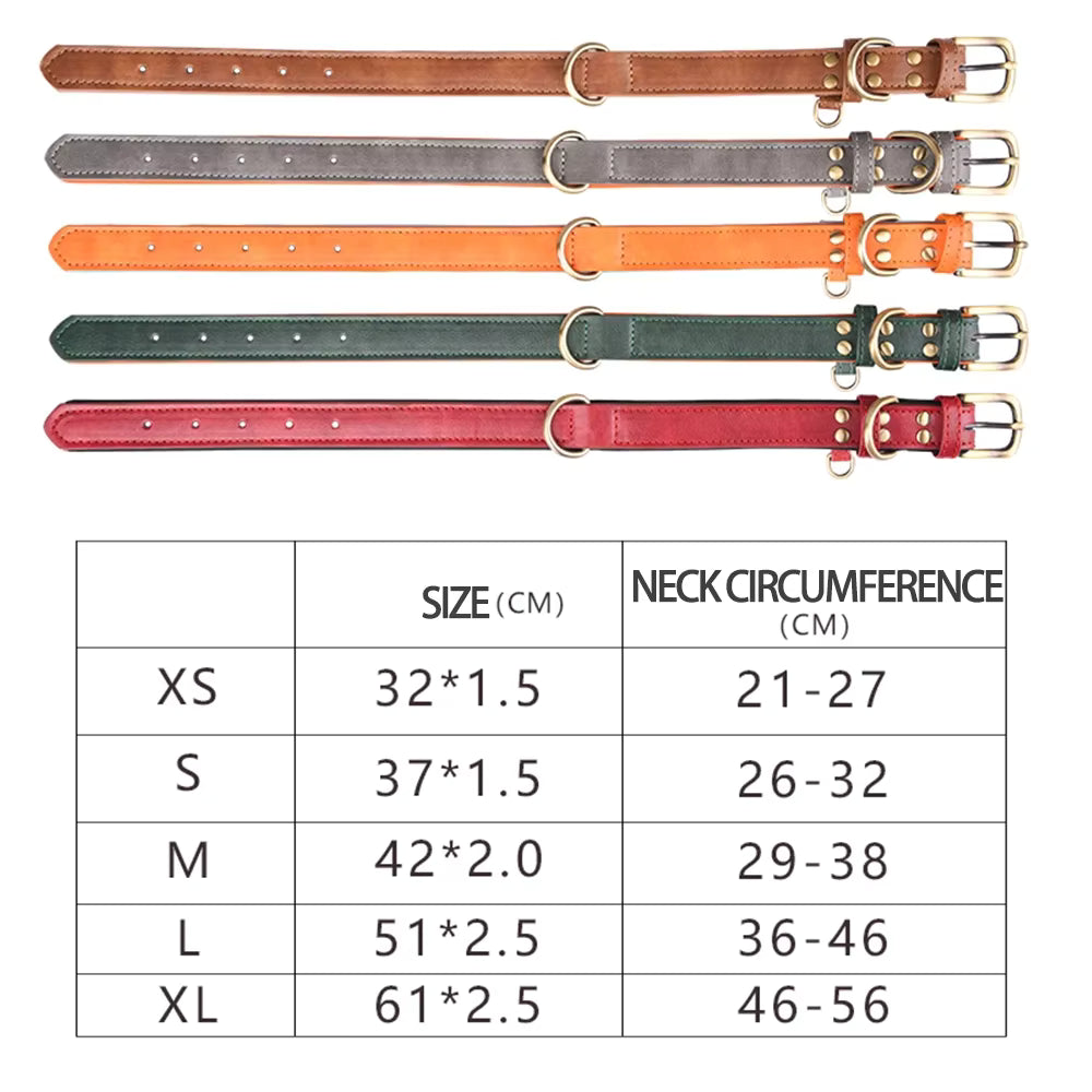 Set of dog collars in various colors with a size chart below on a white background
