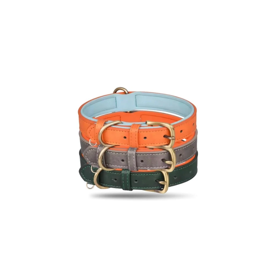 Three dog collars in orange, gray, and green with gold buckles on a white background.