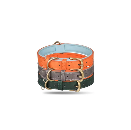 Three dog collars in orange, gray, and green with gold buckles on a white background.