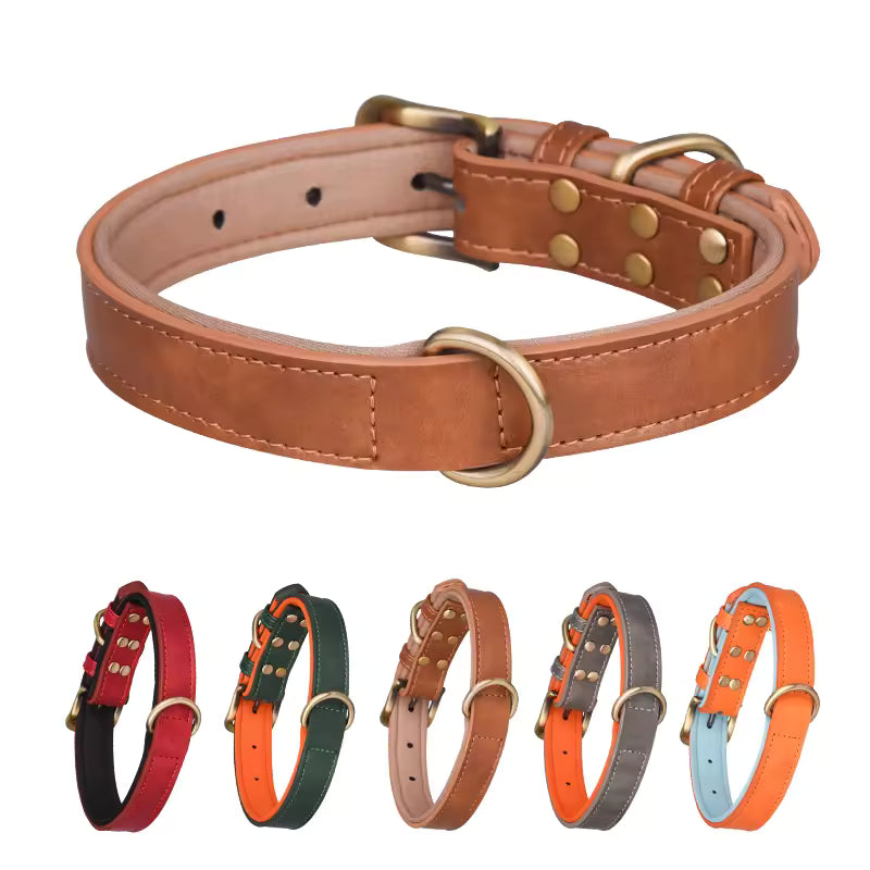 Brown leather dog collar with gold hardware, shown with additional color options on a white background.