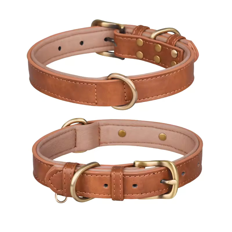 Two brown leather dog collars with brass hardware on a white background