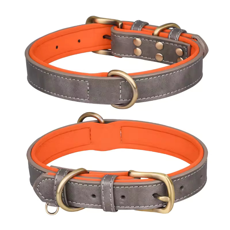 Two dog collars with orange interior padding and gray exterior, featuring brass hardware on a white background.