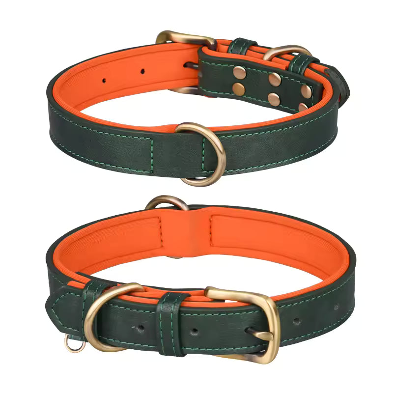 Two green and orange dog collars with brass hardware on a white background