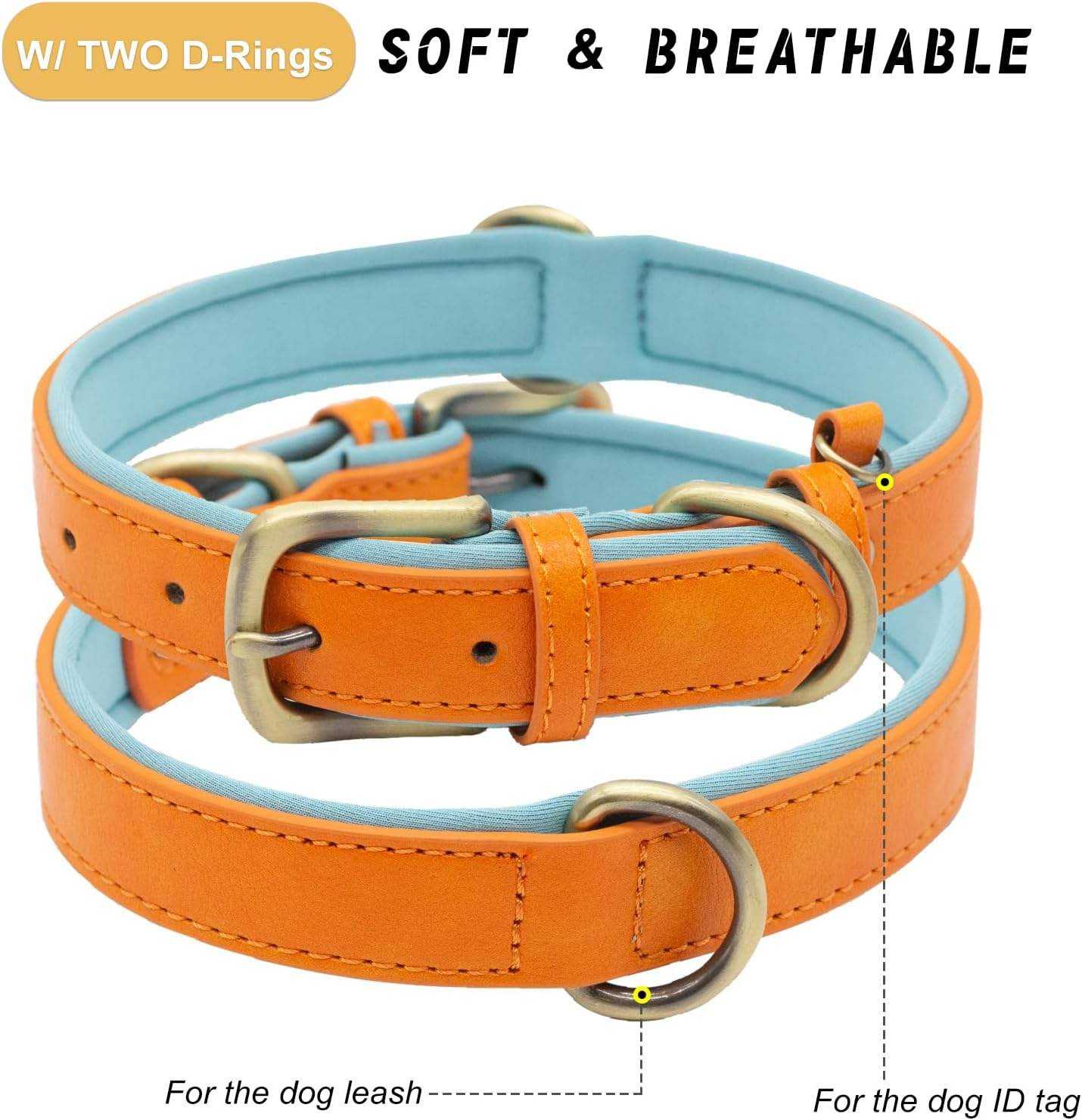 Orange and blue dog collar with two D-rings on a white background