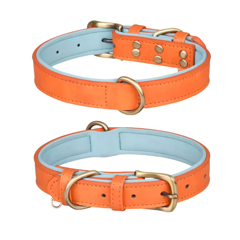 Two orange dog collars with gold hardware on a white background