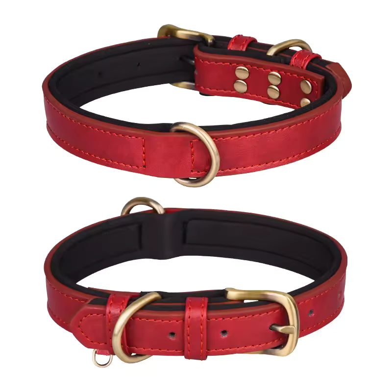 Two red leather dog collars with gold hardware on a white background