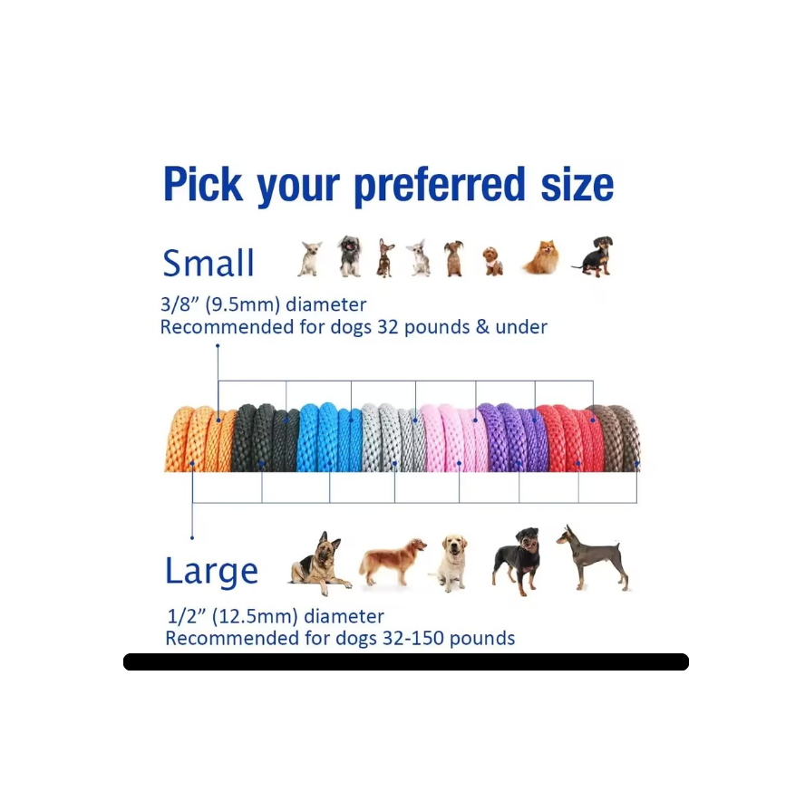 Colorful dog leashes with size chart for dogs on a white background